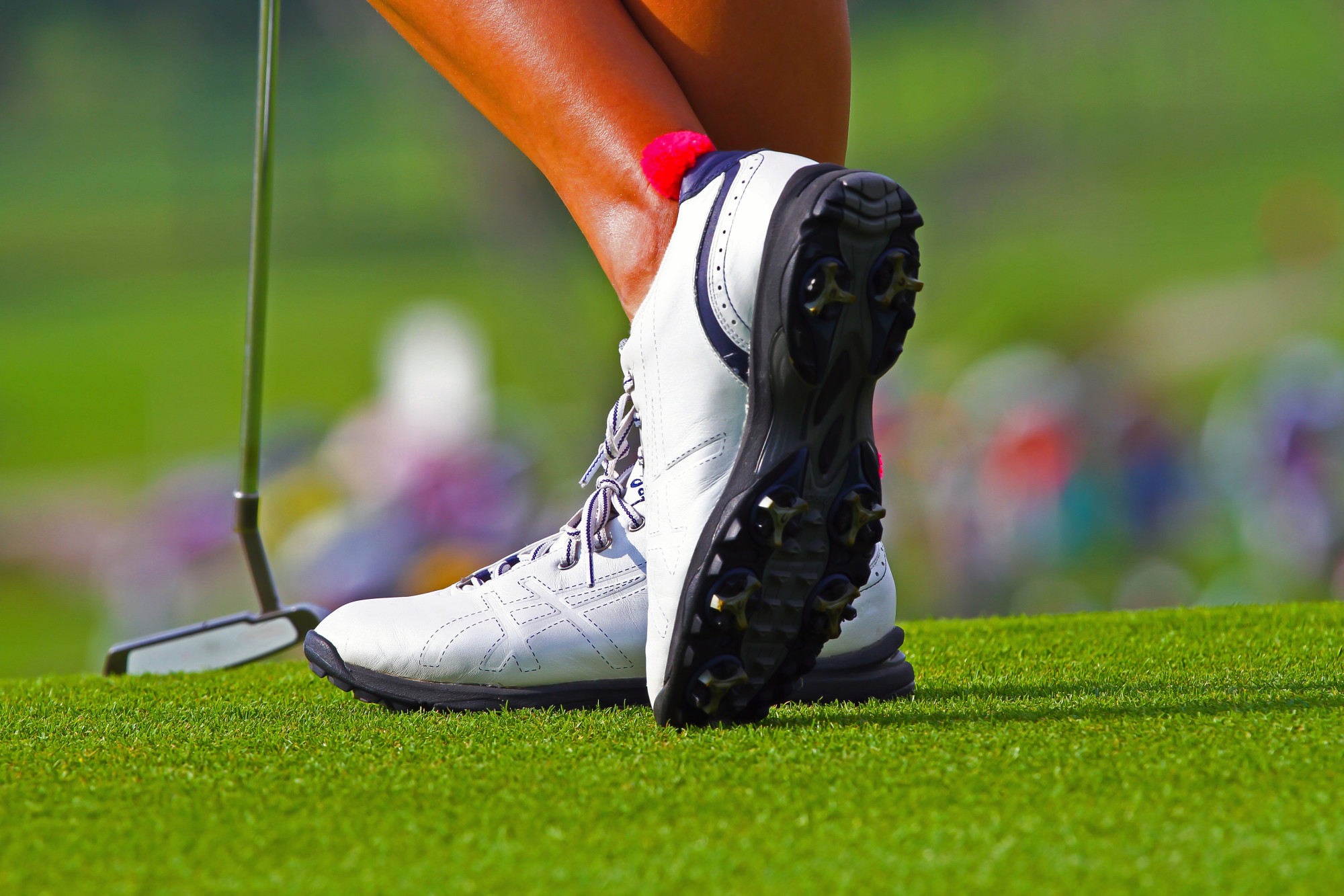 ocala golf course lessons golf improvement guide